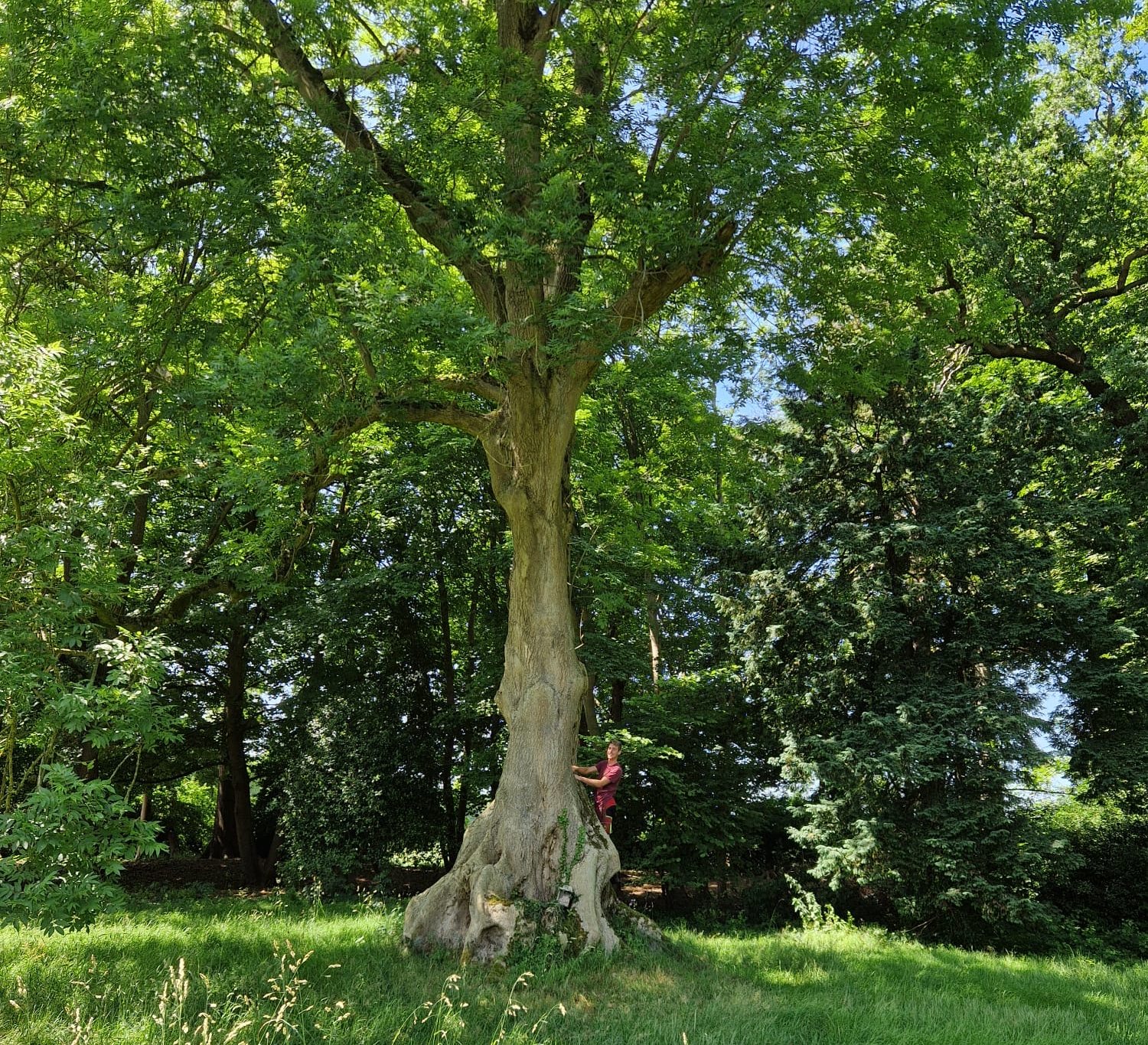 image00009